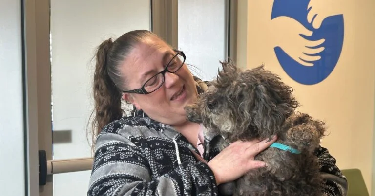 Dog, final gift from woman’s late father, went missing for months — miracle brings her home